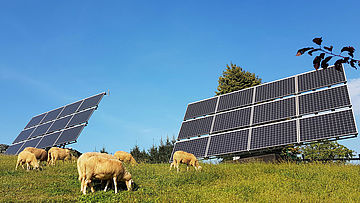 Naturverträgliche Solarparks