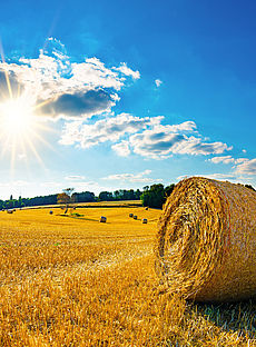 Von der Sonnenenergie als Landeigentümer profitiern