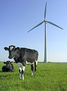Naturverträgliche Planung von Windparks 