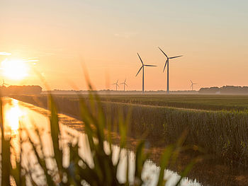 Regionale Verbundenheit als Projektierer von Erneuerbaren Energien