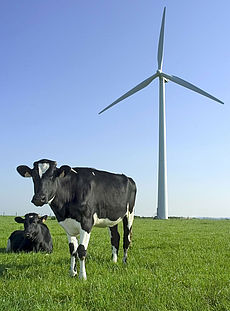 Naturverträgliche Planung von Windparks 